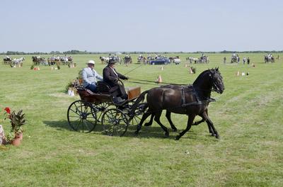 39th Kösely Kupa Hungary/Hajdúszoboszló 2020-stock-foto
