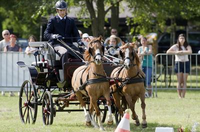 39th Kösely Kupa Hungary/Hajdúszoboszló 2020-stock-foto