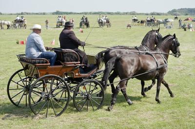 39th Kösely Kupa Hungary/Hajdúszoboszló 2020-stock-foto