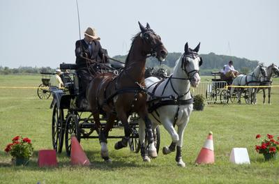 39th Kösely Kupa Hungary/Hajdúszoboszló 2020-stock-foto