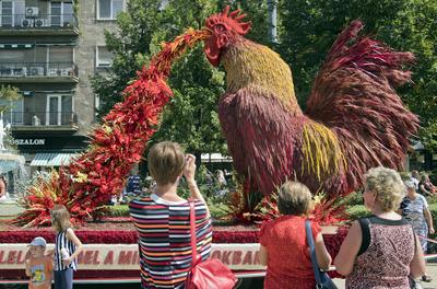Flowerart car carnival 2020 Hungary/Debrecen-stock-foto