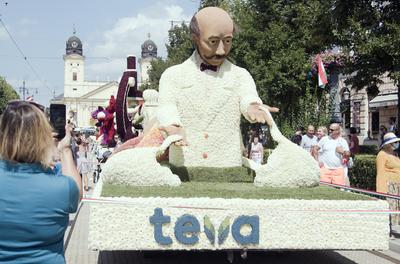 Flowerart car carnival 2020 Hungary/Debrecen-stock-foto