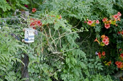 Boldogkőváralja-stock-foto