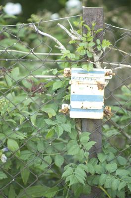 Boldogkőváralja-stock-foto