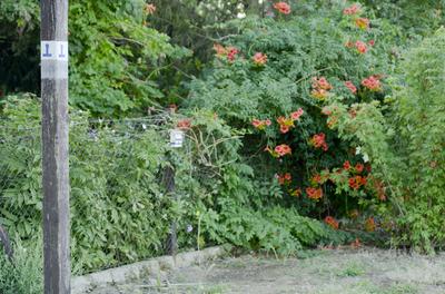 Boldogkőváralja-stock-foto