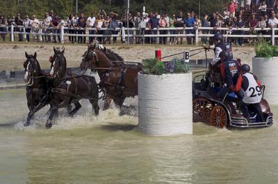 FEI Driving European Championship for Four in Hand- Budapest 2021-stock-foto