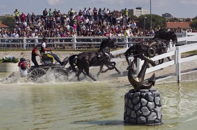 FEI Driving European Championship for Four in Hand- Budapest 2021-stock-foto