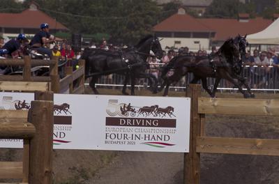 FEI Driving European Championship for Four in Hand- Budapest 2021-stock-foto