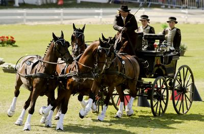 FEI Driving European Championship for Four in Hand- Budapest 2021-stock-foto