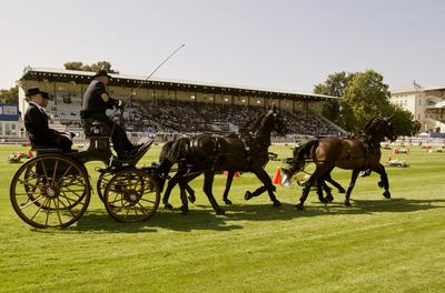 FEI Driving European Championship for Four in Hand- Budapest 2021-stock-foto