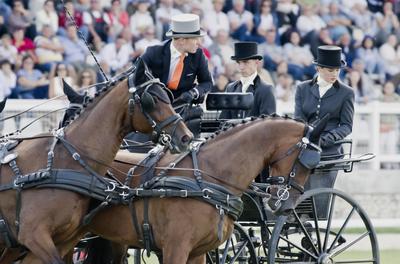 FEI Driving European Championship for Four in Hand- Budapest 2021-stock-foto