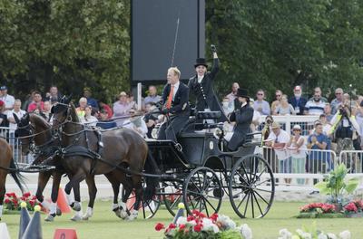 FEI Driving European Championship for Four in Hand- Budapest 2021-stock-foto