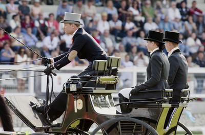 FEI Driving European Championship for Four in Hand- Budapest 2021-stock-foto