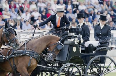 FEI Driving European Championship for Four in Hand- Budapest 2021-stock-foto