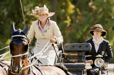 FEI Driving European Championship for Four in Hand- Budapest 2021-stock-foto