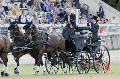 FEI Driving European Championship for Four in Hand- Budapest 2021-stock-foto