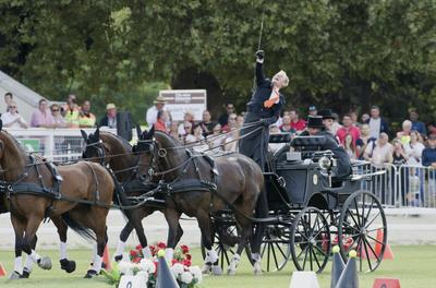 FEI Driving European Championship for Four in Hand- Budapest 2021-stock-foto