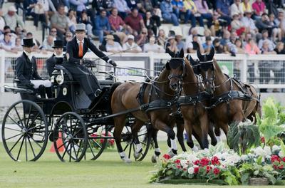 FEI Driving European Championship for Four in Hand- Budapest 2021-stock-foto