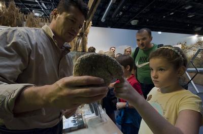 World of Hunting and Nature Exhibition Hungexpo/Hungary 2021/Budapest-stock-foto