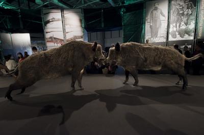 World of Hunting and Nature Exhibition Hungexpo/Hungary 2021/Budapest-stock-foto