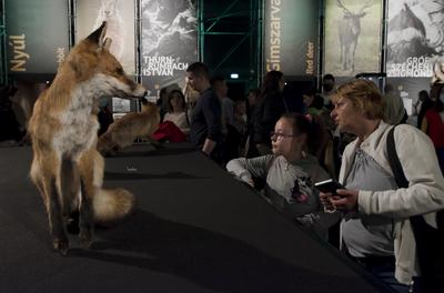 World of Hunting and Nature Exhibition Hungexpo/Hungary 2021/Budapest-stock-foto