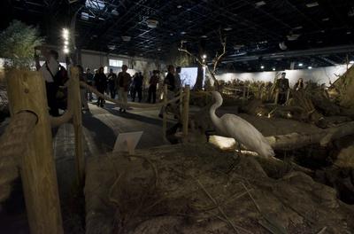 World of Hunting and Nature Exhibition Hungexpo/Hungary 2021/Budapest-stock-foto