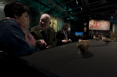 World of Hunting and Nature Exhibition Hungexpo/Hungary 2021/Budapest-stock-foto