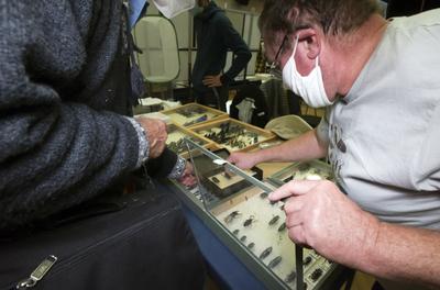 Nemzetközi Rovarbörze a budapesti KMO-ban.-stock-foto