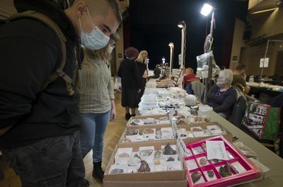 Ásványbörze a budapesti KMO-ban.-stock-foto