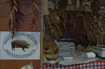 Farmer Expo 2022-stock-foto