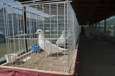 Farmer Expo 2022-stock-foto