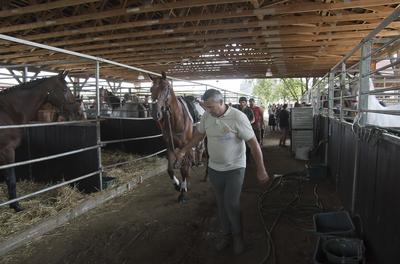 Farmer Expo 2022-stock-foto