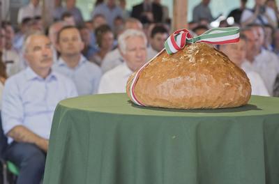 Farmer Expo 2022-stock-foto