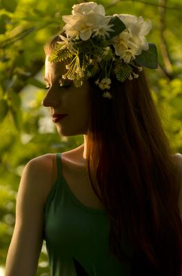 the Last sunlight-stock-foto