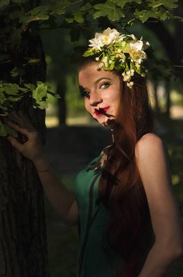 the Last sunlight-stock-foto