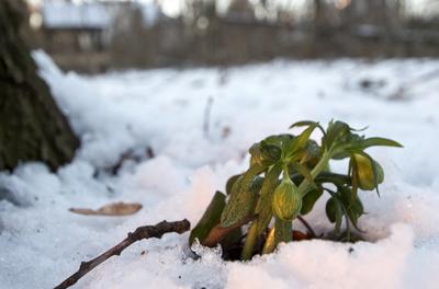 Tél vége-stock-foto