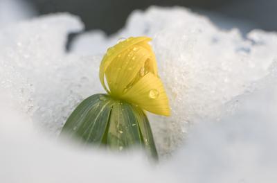 Tél vége-stock-foto