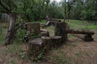 Farkasszigeti Botanikus kert Püspökladány-stock-foto