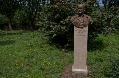Farkasszigeti Botanikus kert Püspökladány-stock-foto
