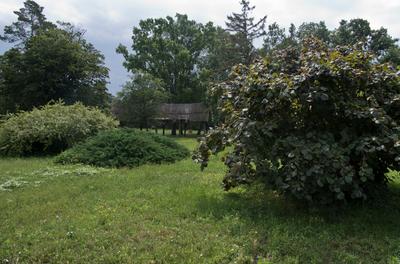 Farkasszigeti Botanikus kert Püspökladány-stock-foto