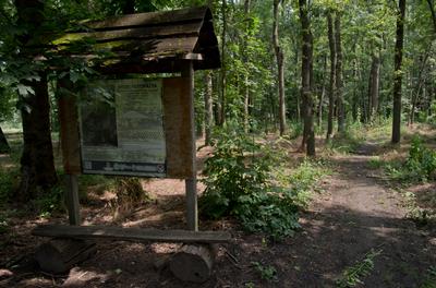 Farkasszigeti Botanikus kert Püspökladány-stock-foto
