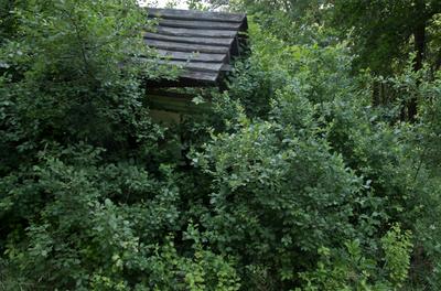 Farkasszigeti Botanikus kert Püspökladány-stock-foto