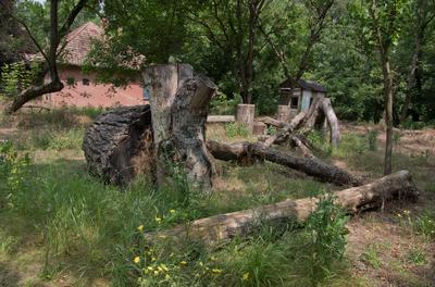 Farkasszigeti Botanikus kert Püspökladány-stock-foto
