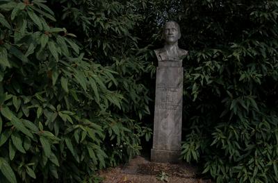 Farkasszigeti Botanikus kert Püspökladány-stock-foto