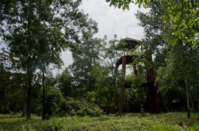 Farkasszigeti Botanikus kert Püspökladány-stock-foto