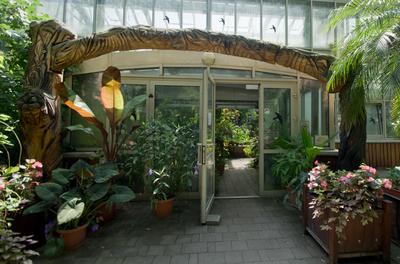 Lotus flower day's-stock-foto