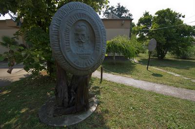 Lotus flower day's-stock-foto