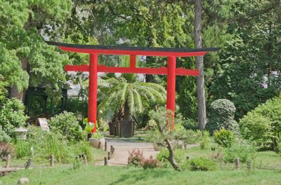 Lotus flower day's-stock-foto