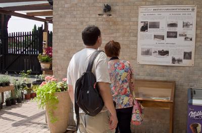 Lotus flower day's-stock-foto