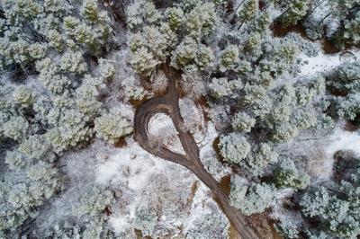 road with snowy forest in Hungary-stock-photo